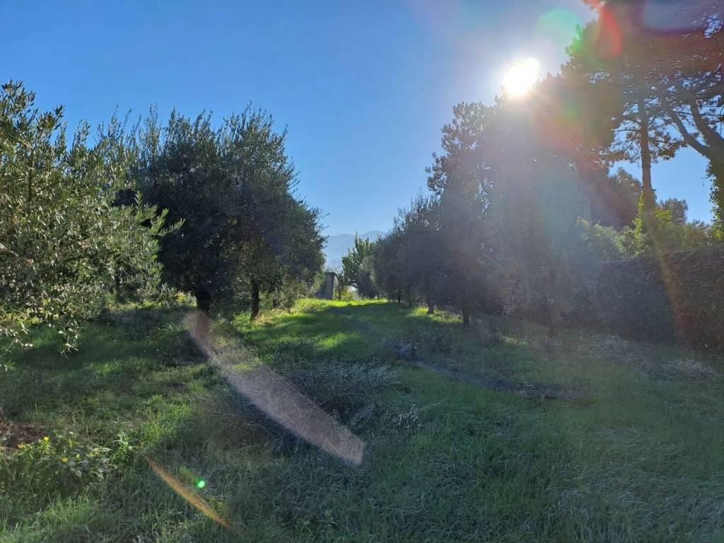 Terreno a Cori in Via Colle I, 15 - Foto 3