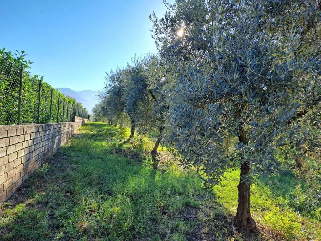 Terreno a Cori in Via Colle I, 15 - Foto 4