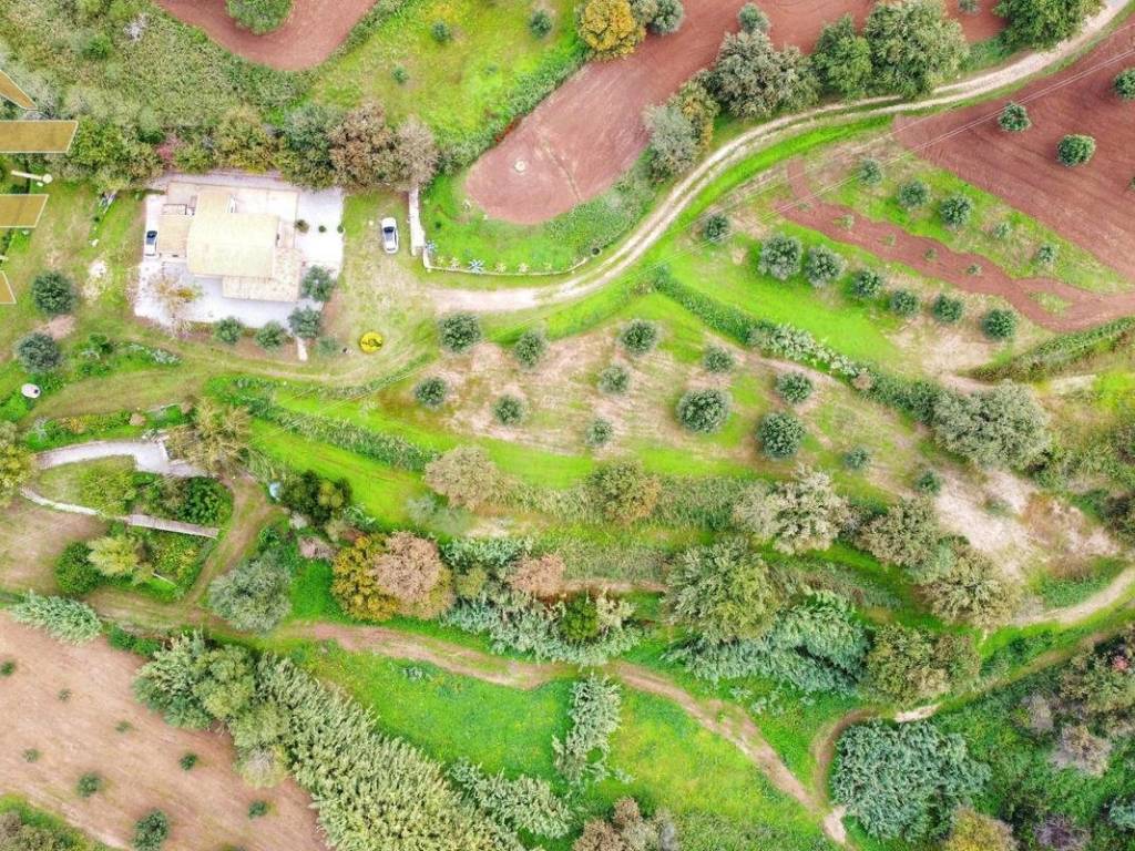 Casa indipendente a Drapia in Località San Sidario - Foto 3