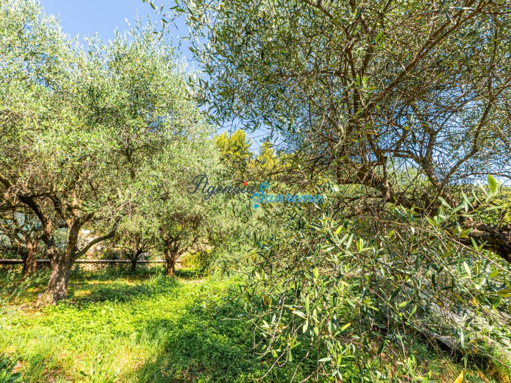 Villa a Ventimiglia in Via alla Stazione, 23 - Foto 5