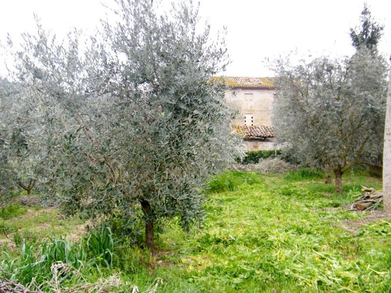 Rustico / casale a Maiolati spontini in strada provinciale, 11 - Foto 2