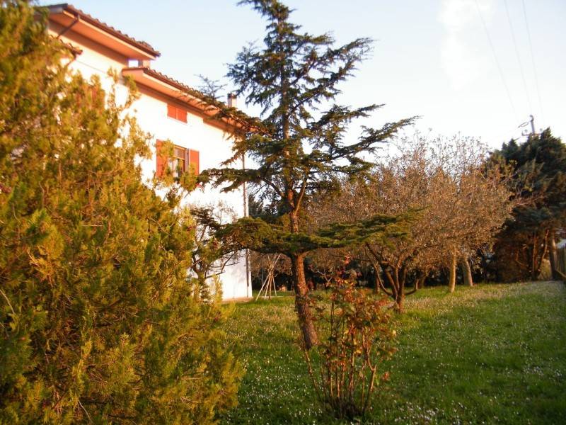 Casa indipendente a San paolo di jesi in Piazzale Domenico Ricci, 1 - Foto 5
