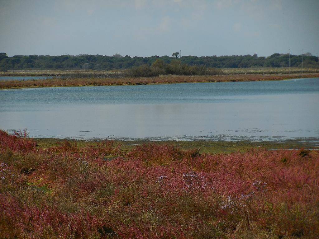 Appartamento a Ravenna in VIA DELLE CAMPANELLE - Foto 3
