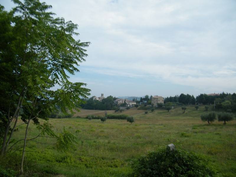 Rustico / casale a Serra san quirico in Sasso, 2 - Foto 5