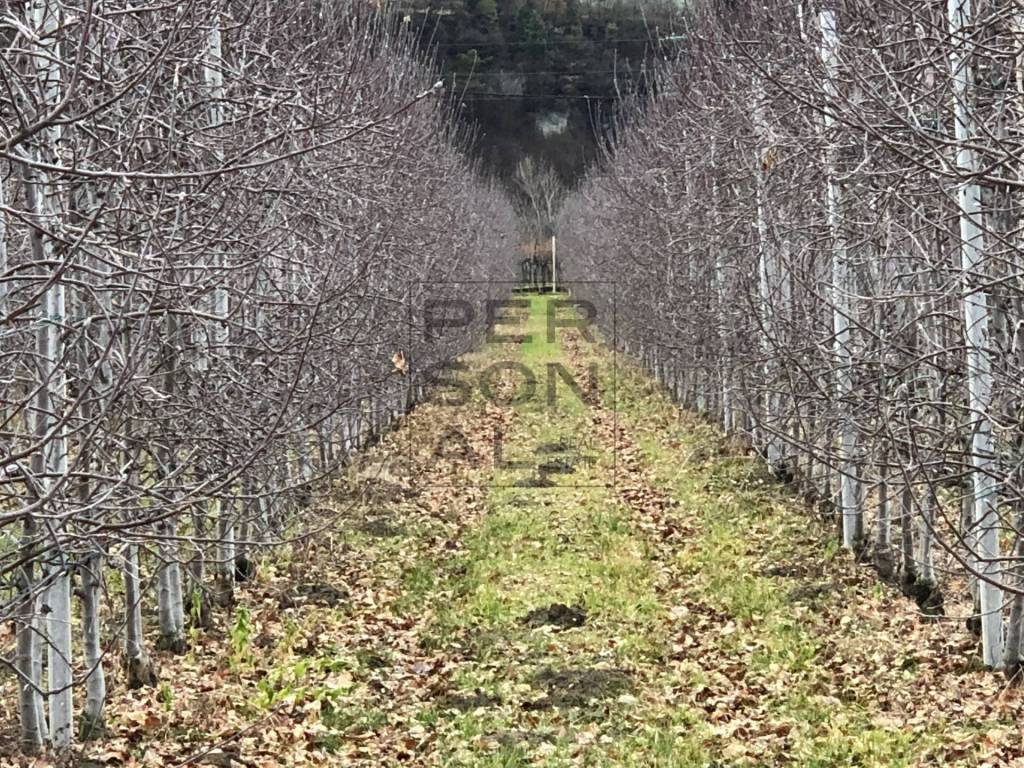 Terreno a Dro - Foto 2
