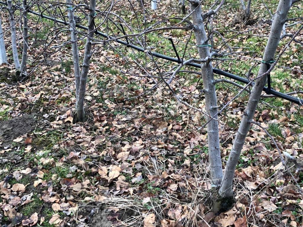 Terreno a Dro - Foto 4