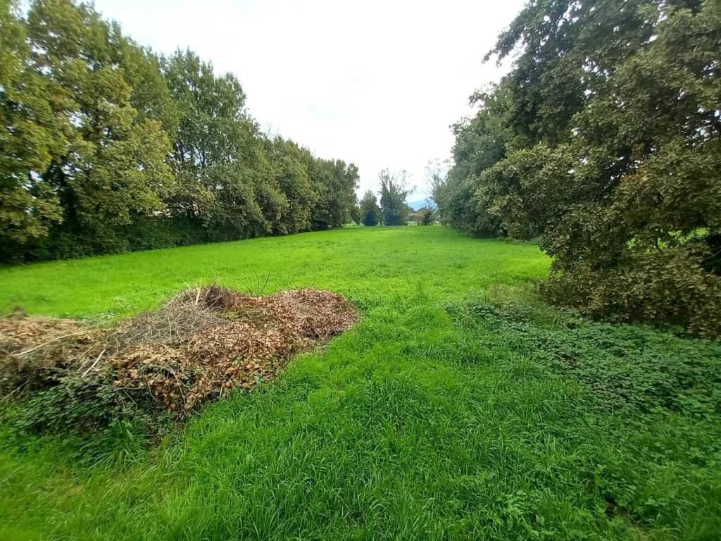 Villa a Capannori - Foto 3