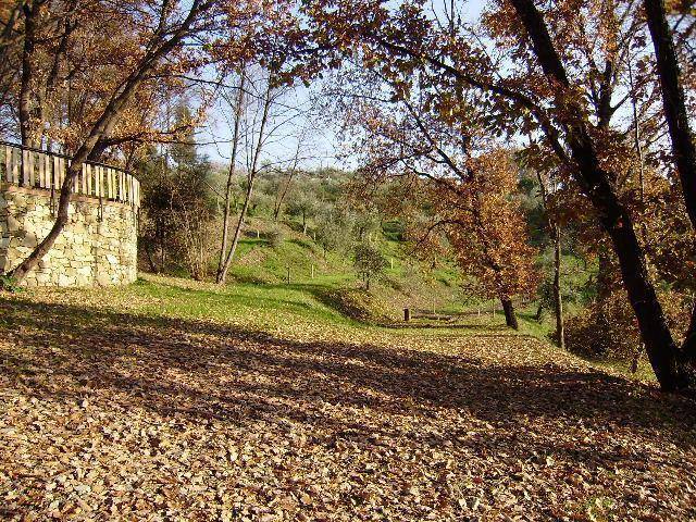 Terreno a Sarzana - Foto 2