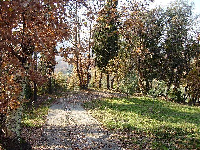 Terreno a Sarzana - Foto 3