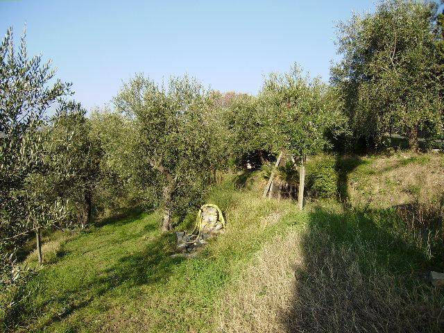 Terreno a Sarzana - Foto 4