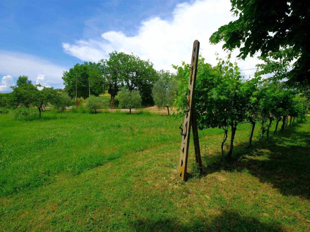Terreno a Foiano della chiana - Foto 2
