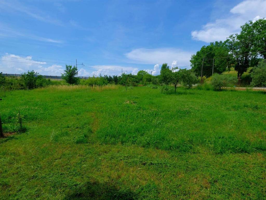 Terreno a Foiano della chiana - Foto 3