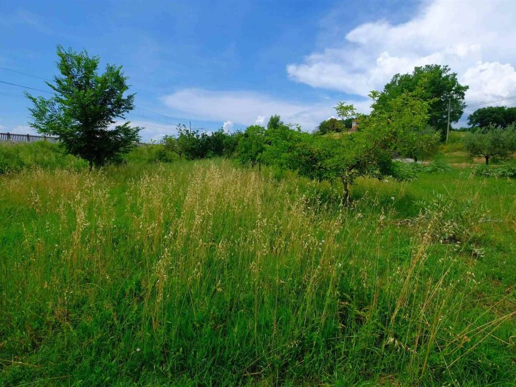 Terreno a Foiano della chiana - Foto 4