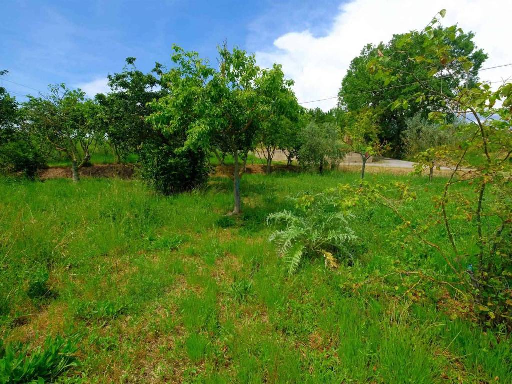Terreno a Foiano della chiana - Foto 5