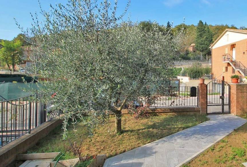 Villetta a schiera a Sinalunga - Foto 5