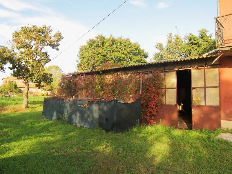 Casa indipendente a Torrita di siena - Foto 3