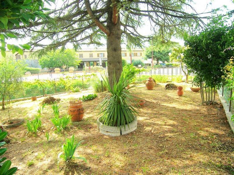 Casa indipendente a Trequanda - Foto 5