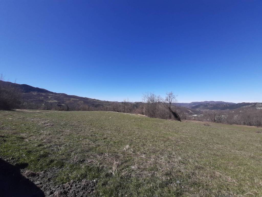 Terreno a Brignano-frascata in Strada Provinciale, 7 - Foto 2