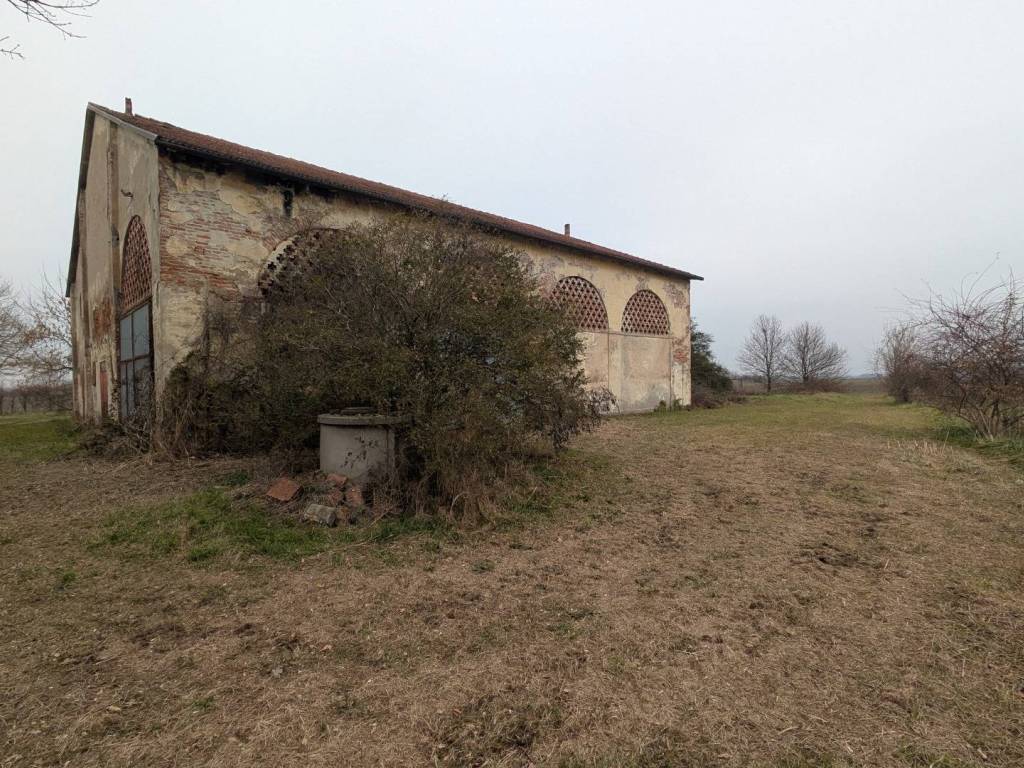 Rustico / casale a Stienta - Foto 4