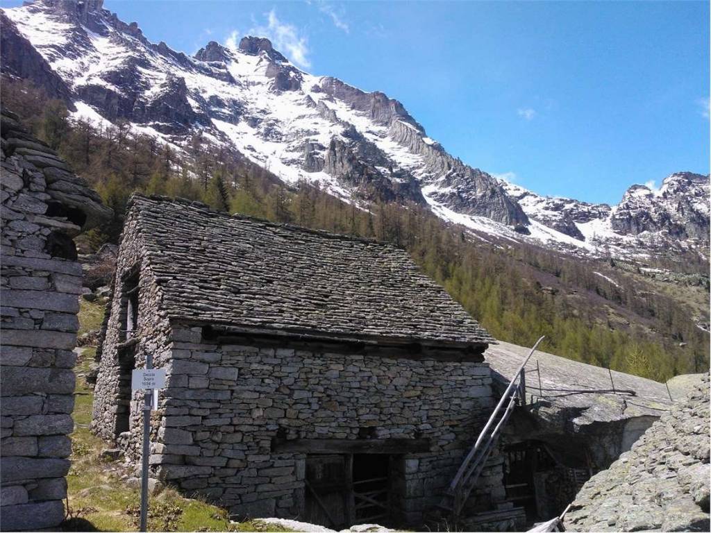 Rustico / casale a Crodo in alpe deccia - Foto 5