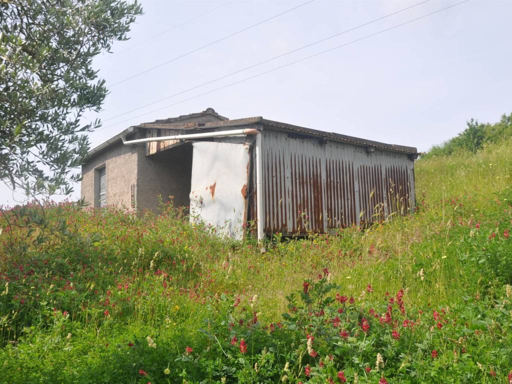 Rustico / casale a Rosignano marittimo in località Pianacce - Foto 2