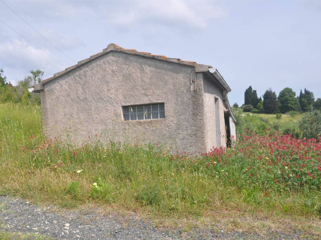 Rustico / casale a Rosignano marittimo in località Pianacce - Foto 3