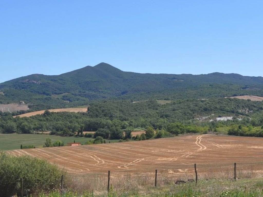 Terreno a Bibbona in Strada Vicinale di Faltona - Foto 2