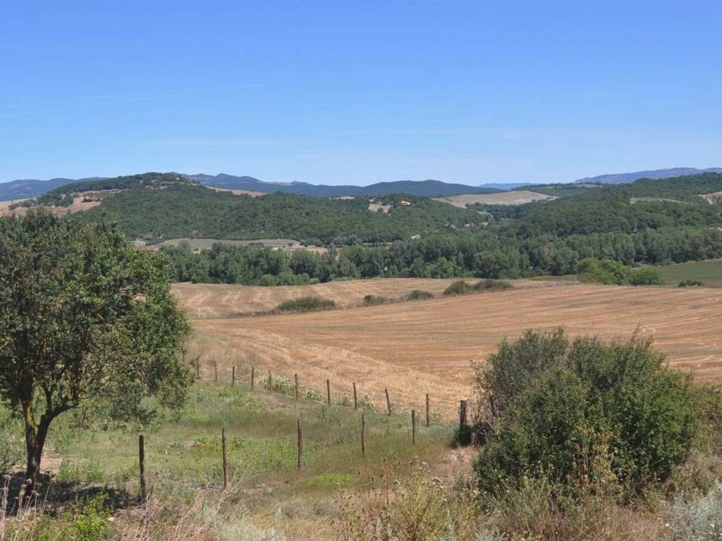 Rustico / casale a Bibbona in Strada Vicinale di Faltona - Foto 2