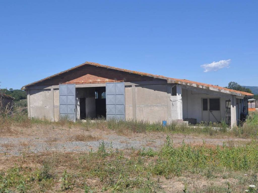 Rustico / casale a Bibbona in Strada Vicinale di Faltona - Foto 3