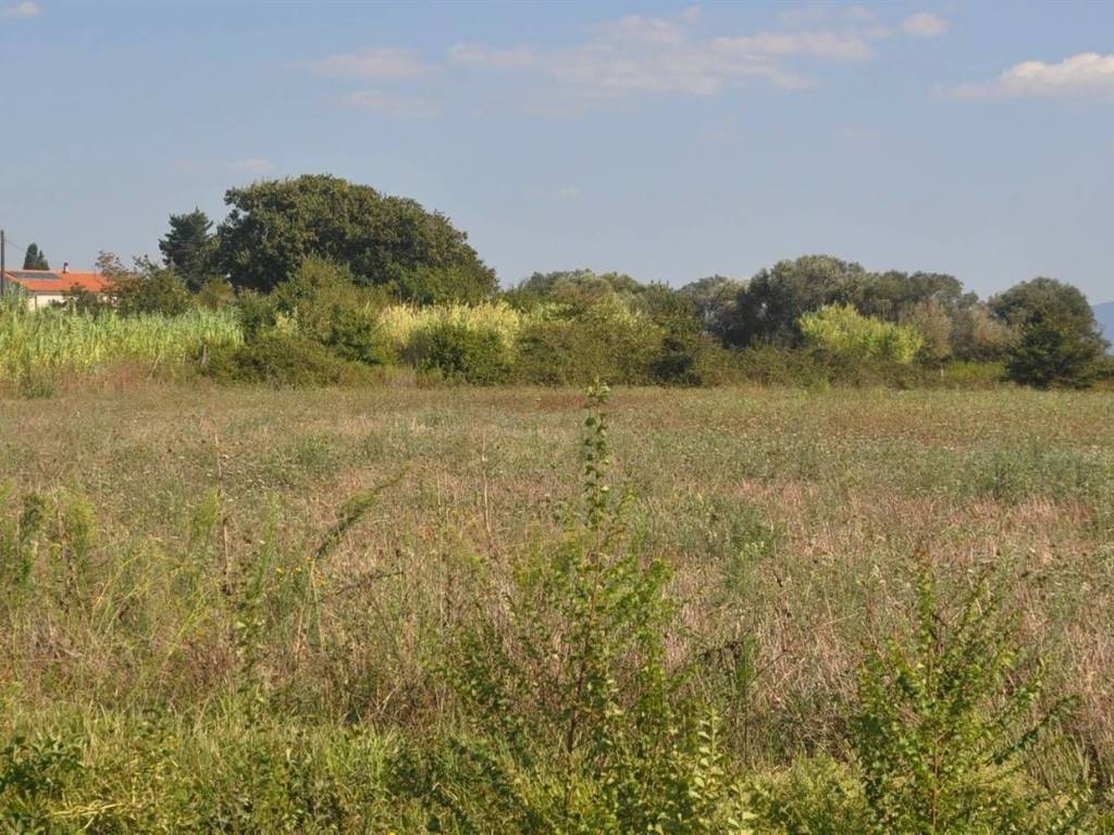 Terreno a Rosignano marittimo in Stradone dei Fichi - Foto 2