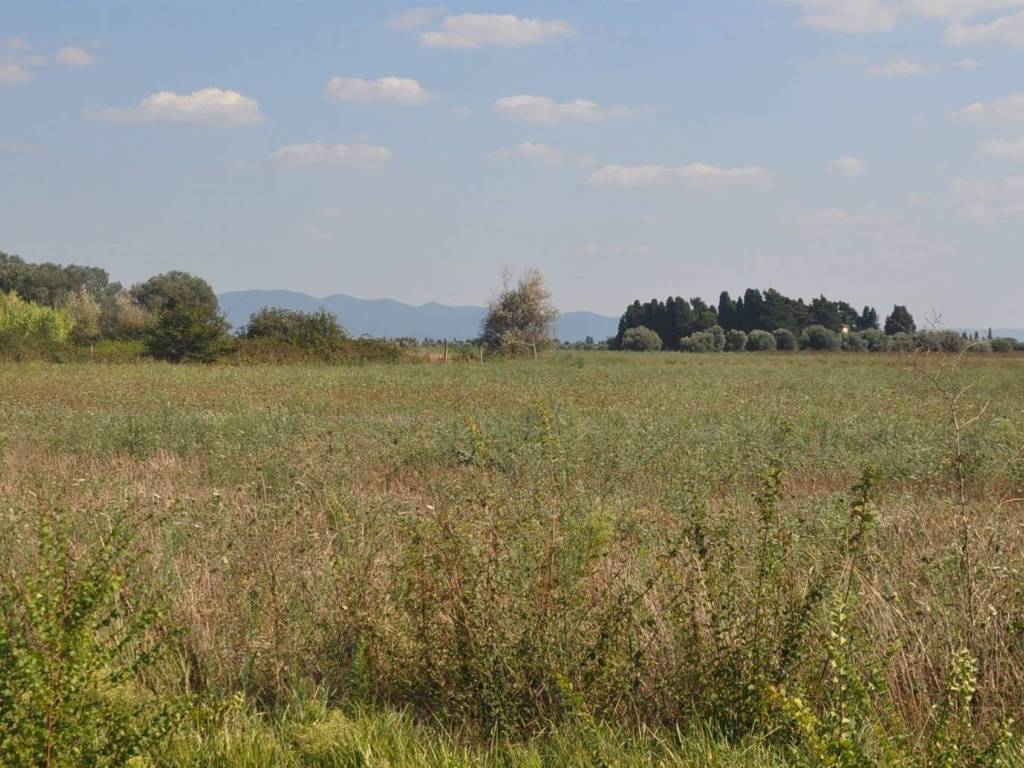 Terreno a Rosignano marittimo in Stradone dei Fichi - Foto 3