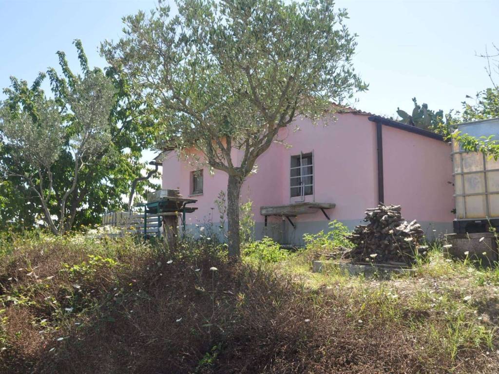 Rustico / casale a Rosignano marittimo in località Paltratico - Foto 2