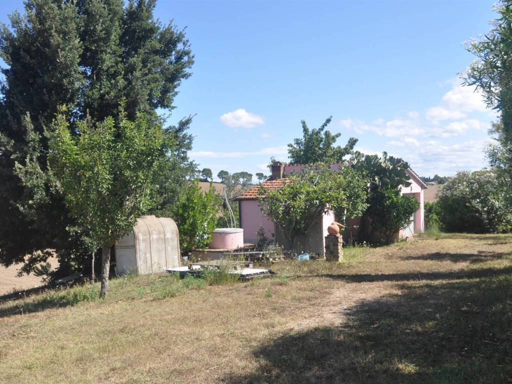 Rustico / casale a Rosignano marittimo in località Paltratico - Foto 3