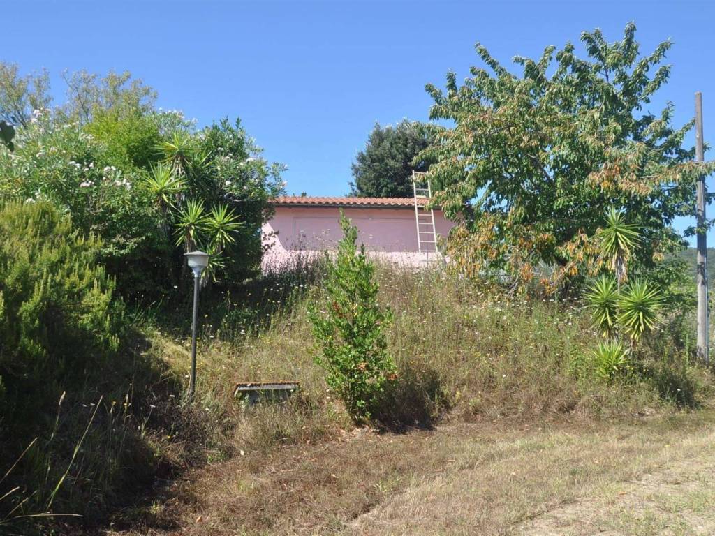 Rustico / casale a Rosignano marittimo in località Paltratico - Foto 4