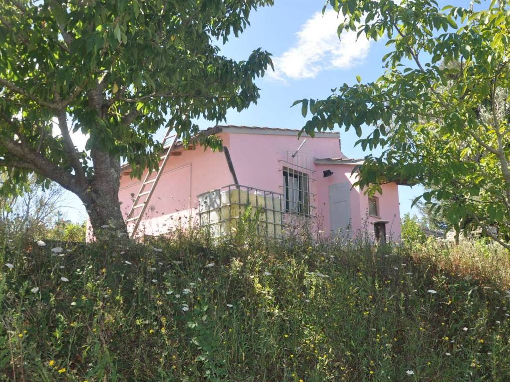 Rustico / casale a Rosignano marittimo in località Paltratico - Foto 5