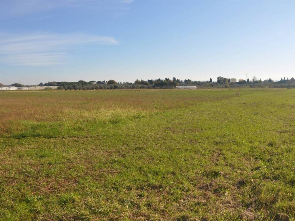 Terreno a Rosignano marittimo in Stradone del Tripesce - Foto 2