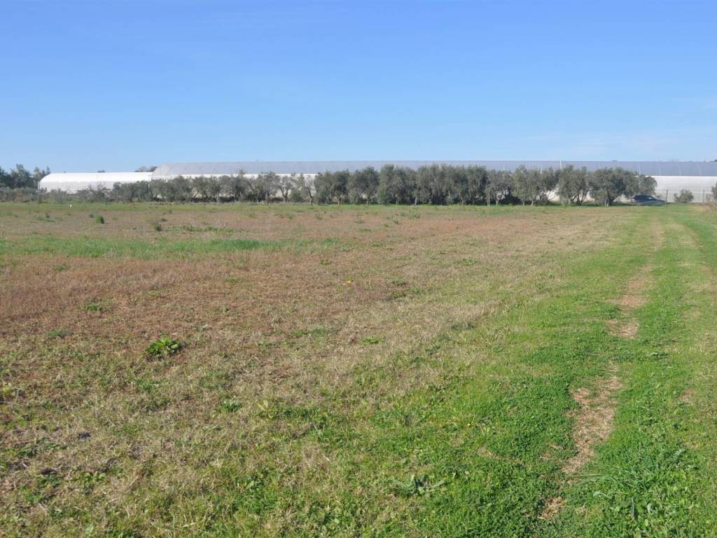 Terreno a Rosignano marittimo in Stradone del Tripesce - Foto 4