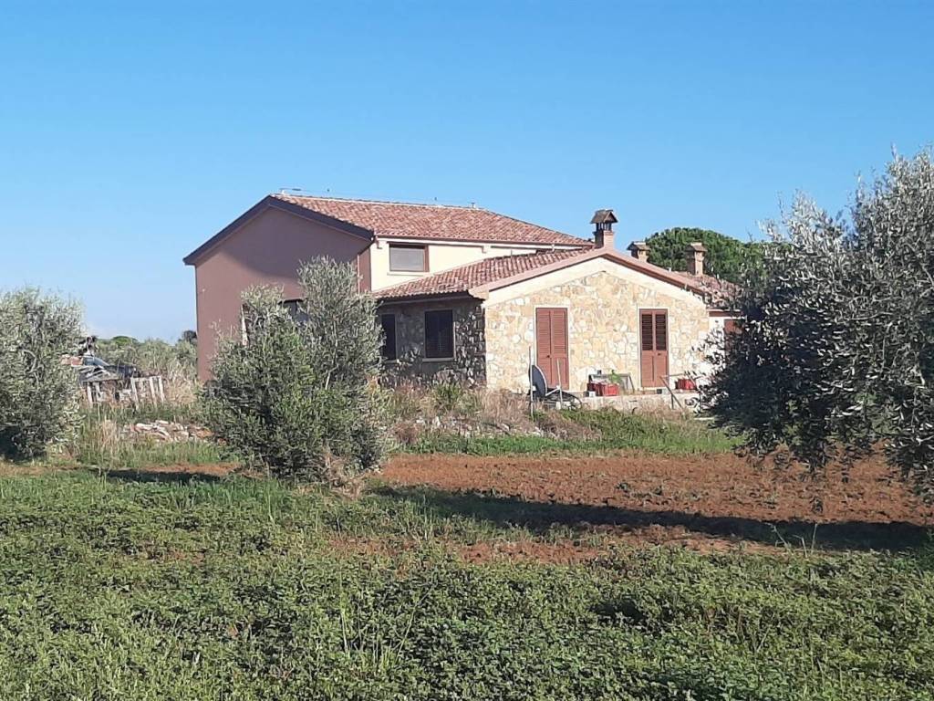 Rustico / casale a Rosignano marittimo in Stradone della Torre - Foto 2