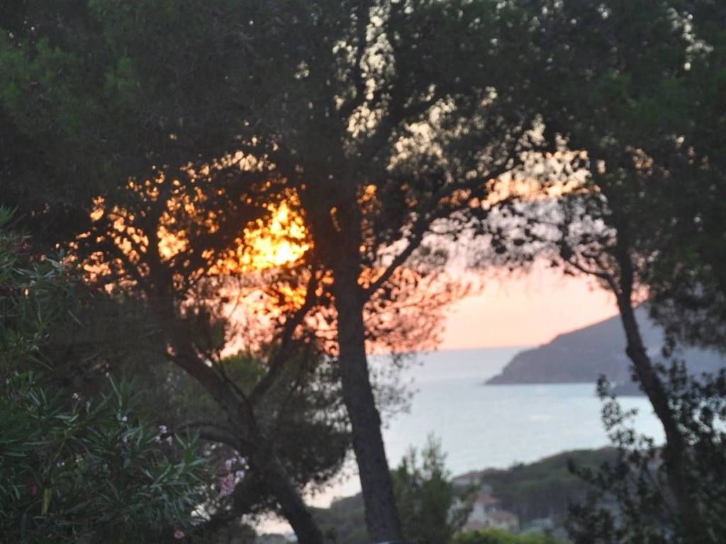 Terreno a Rosignano marittimo in Via del Vaiolo - Foto 2