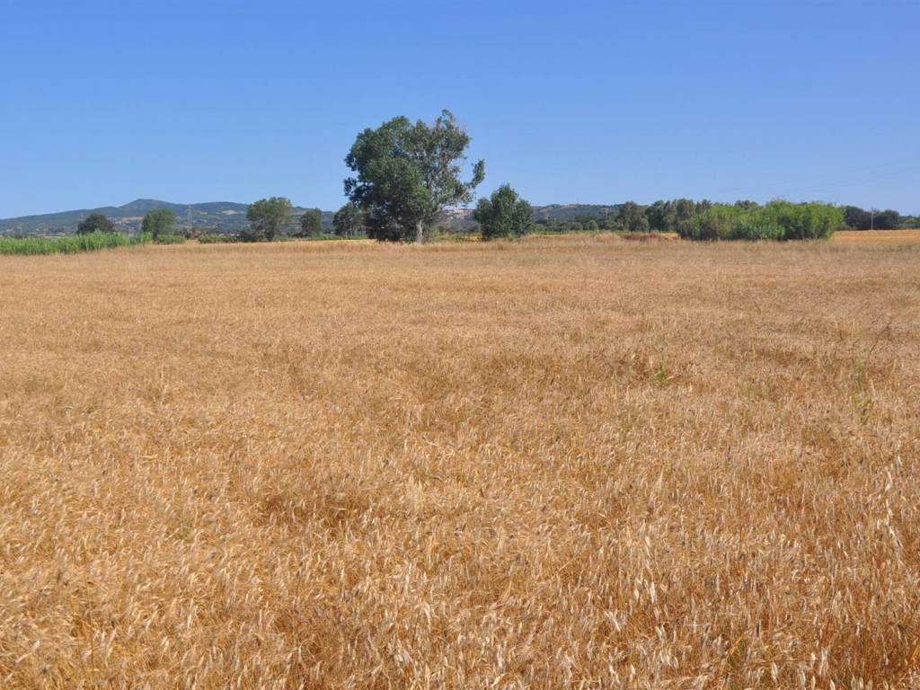 Terreno a Rosignano marittimo in Via la Valle - Foto 3