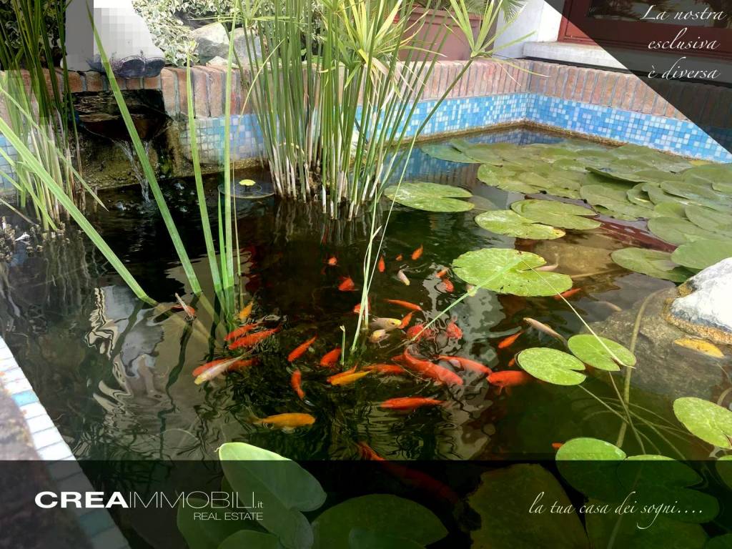 Villa a Misano adriatico in Via Camilluccia, 3 - Foto 4
