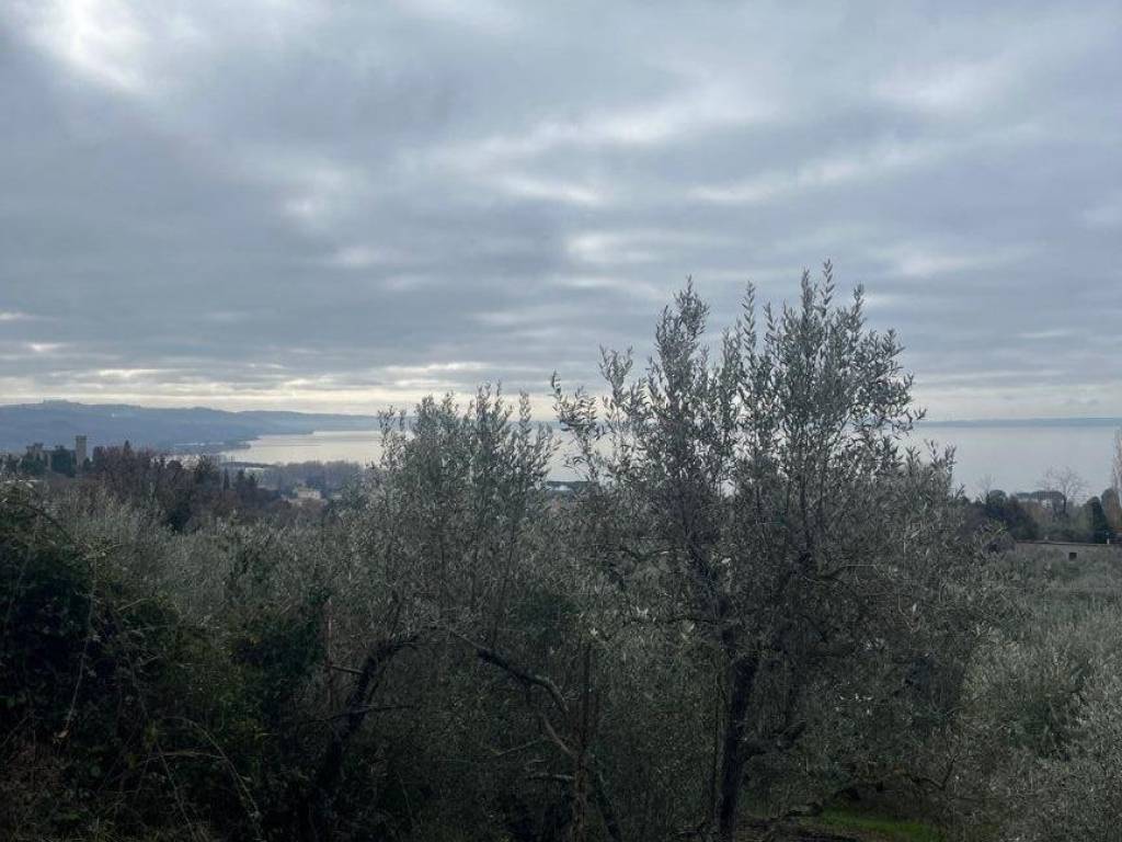 Terreno a Bolsena in Via della Rena - Foto 4
