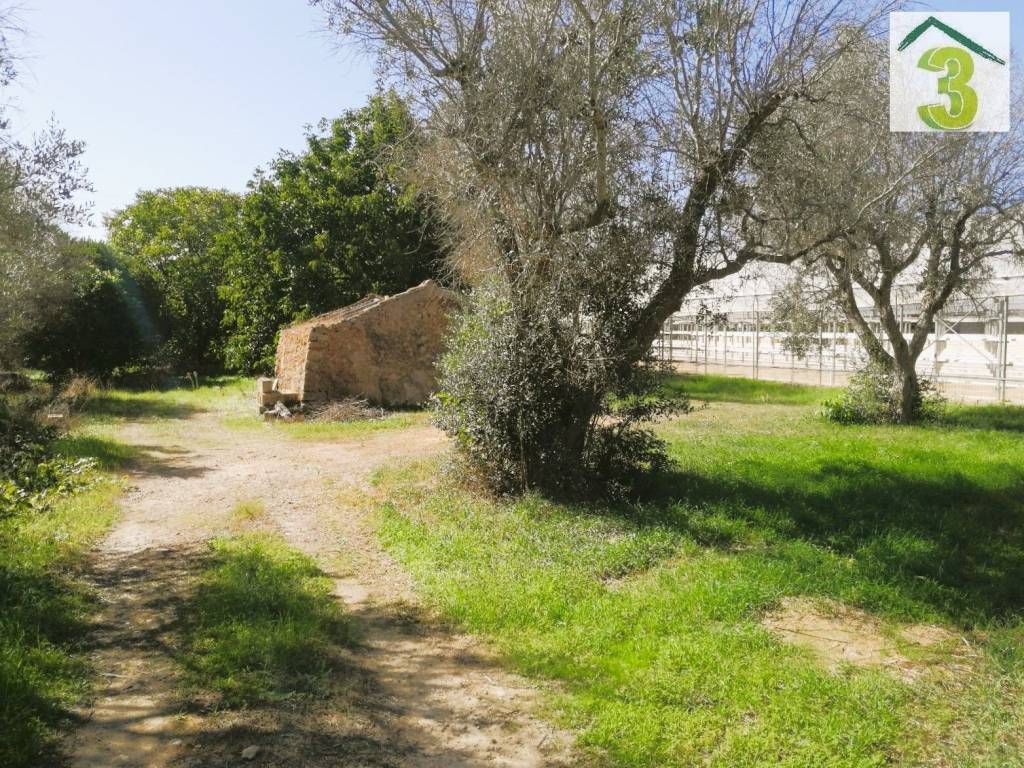 Casa indipendente a Montesano salentino in Strada Comunale per Montesano - Foto 4