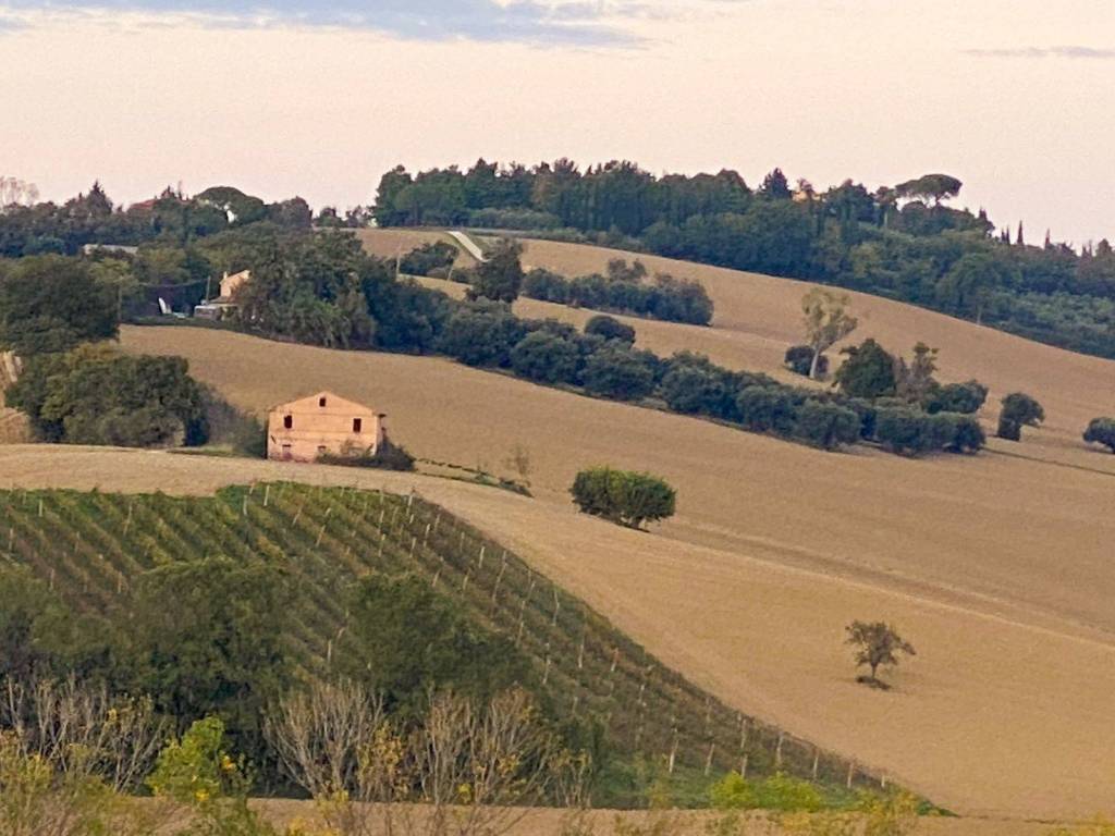 Rustico / casale a Jesi - Foto 2