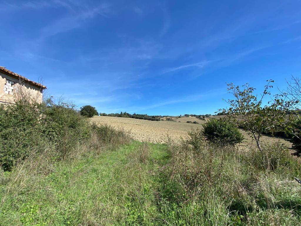 Rustico / casale a Jesi - Foto 4