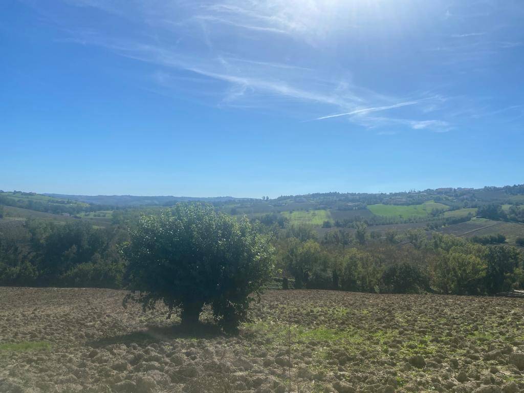 Rustico / casale a Jesi - Foto 5