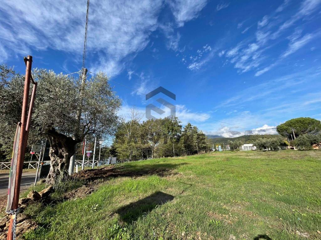 Terreno a Solopaca - Foto 2