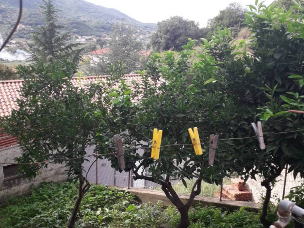 Casa indipendente a Albanella - Foto 3