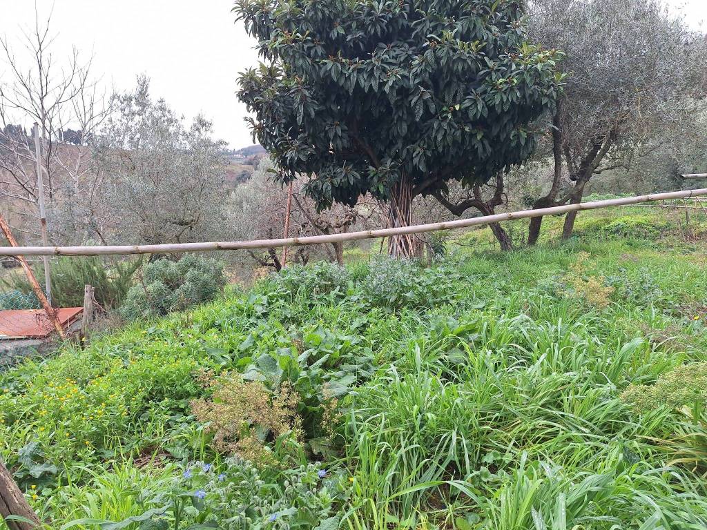 Rustico / casale a Collesalvetti in Via di San Martino, 99 - Foto 5