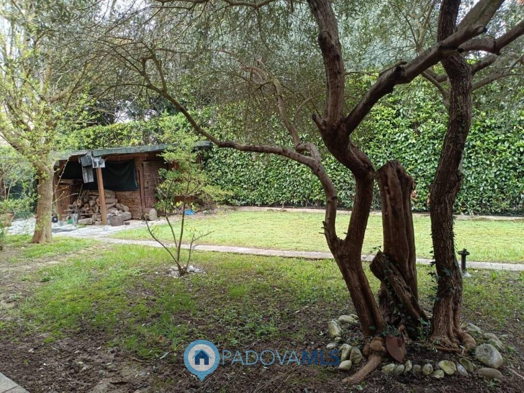 Villa a Selvazzano dentro in Via Friuli - Foto 2